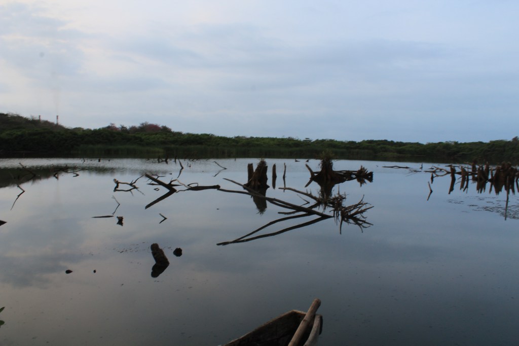 CONTAMINATED AND PROFANATED SACRED SITE TO BE RECOVERED
